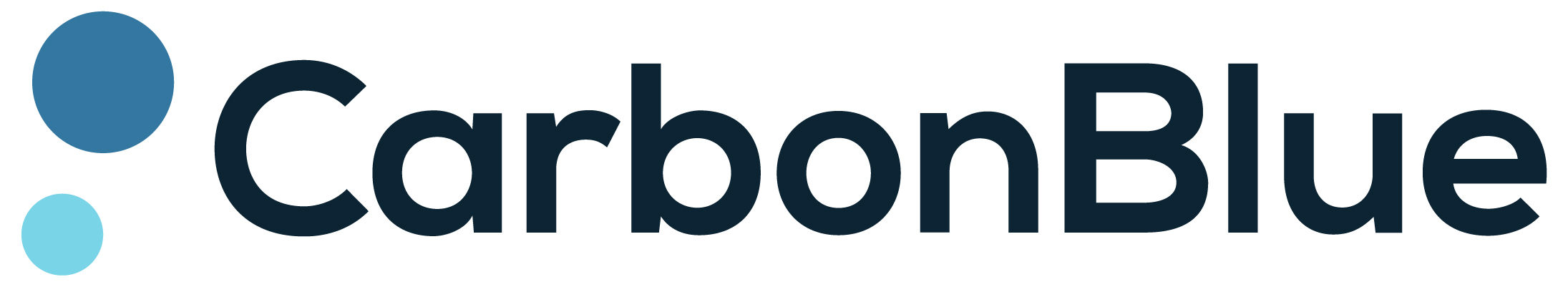 CarbonBlue Logo_CarbonBlue Logo Positive (2)